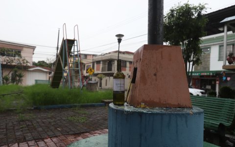 En algunos parques pequeños, los niños se ven privados de utilizar los juegos infantiles por la falta de desbroce de maleza y mantenimiento y limpieza de estructuras.