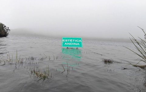 Trabaja en nueva propuesta pictórica.