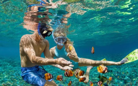 Los turistas disfrutan de practicar snorkel