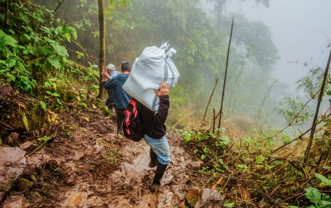 Pangua. Las personas llevan sacos de alimentos en sus hombros.