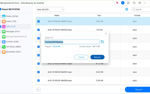 Los datos recuperados se pueden previsualizar en el programa.