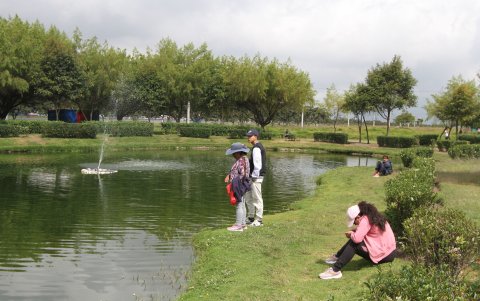Parque Bicentenario. Los alrededores del humedal están bien conservados.