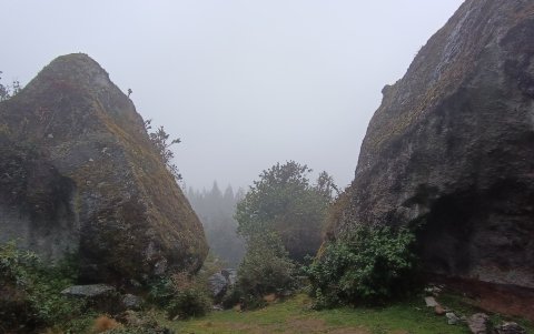 Para llegar a la ciudad de piedra se debe atravesar un bosque espeso de ciprés.