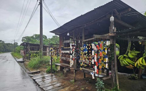 Los kichwas piden permiso a la Pachamama para extraer de la selva la medicina ancestral.