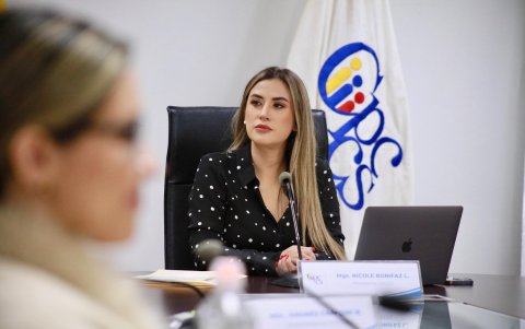 La comisión del concurso alega falta de respaldo por parte del pleno del Consejo de Participación.