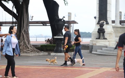 Escape. Con familia, solos o con las mascotas, quienes se quedaron en la ciudad aprovecharon para pasear por los parques y malecones.