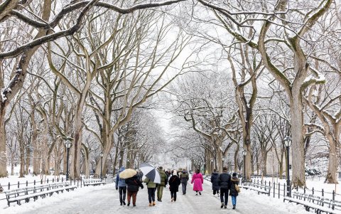 La gente camina por Central Park en Nueva York, mientras cae nieve este 13 de febrero de 2024.