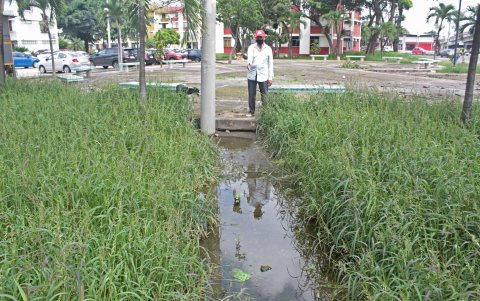 Las Acacias. Los moradores señalan que entre los montes queda agua empozada, en sus jardineras.