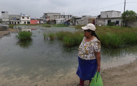 Lodazales. Varias calles de la cooperativa 5 de Junio están llenas de agua lluvia, lo que genera grandes lagunas de lodo y maleza, como en el bloque F1.