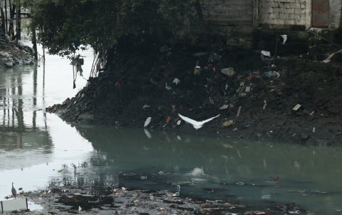 Los ciudadanos afectados pueden enviar sus quejas a la página web del Municipio de Guayaquil