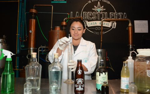 Esta es la zona de la destilería en casa agave donde la bebida estrella es el miske