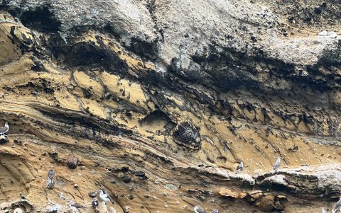 Los piqueros patas azules son una de las atracciones del lugar