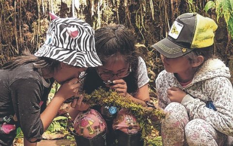 En la reserva hay recorridos para todas las edades por el bosque nublado.