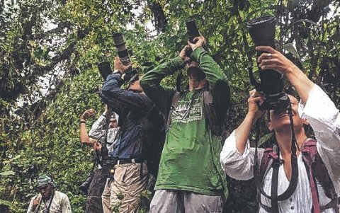 Al lugar han llegado estudiantes e investigadores de numerosas universidades a nivel mundial.