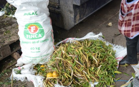 Tratamiento. Los gestores colocan los residuos en camas para descomposición