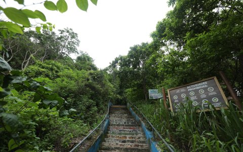 Naturaleza. Apuntar a los espacios como el cerro Paraíso para el desarrollo de senderismo y avistamiento de especies de flora y fauna es una de las opciones sugeridas por expertos.