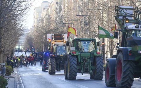 Continúan las protestas de agricultores españoles para reclamar medidas contra la crisis del campo.