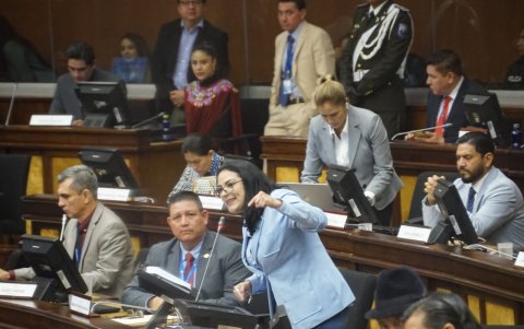 La vicepresidenta de la mesa de Justicia, la legisladora oficialista María Fernanda Araujo.