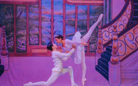 Paula tiene un mes para cumplir la meta de recaudar los fondos.