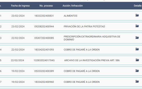 Una vez llenado los campos con los nombres de un procesado o demandante se desplegarán todos los procesos activos o terminados