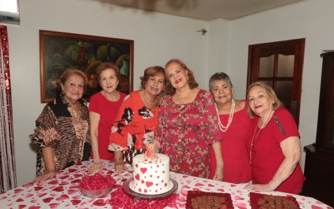 Ana Luisa de Guerrero, Mariana de Ollagüe, Alicia Plaza de Molina, Luz María Bocca, Popi Garaicoa, Fanny Correa de Jiménez.