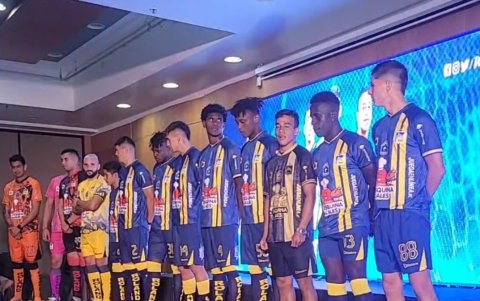 Delfín indumentaria Azul y amarillo