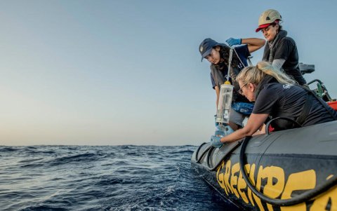 La investigación en aguas de la Reserva Marina de Galápagos permitirá documentar los efectos de los esfuerzos de protección.