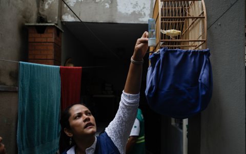 Una epidemióloga inspecciona posibles criaderos de mosquitos para combatir la propagación del dengue en un barrio popular, el 26 de febrero 2024, en São Paulo (Brasil).