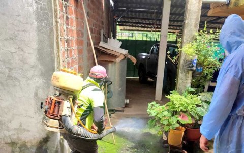 Se fumiga para evitar enfermedades