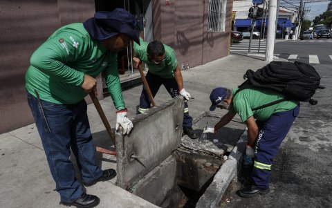Técnicos de la Secretaría de Salud del Ayuntamiento realizando acciones como la inspección y captura de escorpiones amarillos