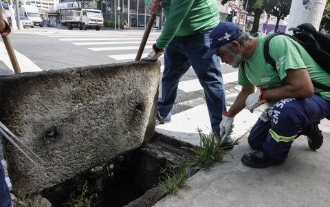 Técnicos de la Secretaría de Salud, buscan a los aninales venenosos en un barrio situado a cinco kilómetros del centro de la ciudad de São Paulo (Brasil).