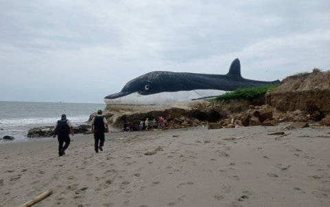 Hasta el cierre de esta edición, personal de la Policía se hallaba aún en el sitio. Las investigaciones continuarán.