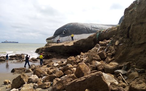 Autoridades de distintos puntos han recorrido este 12 marzo el sitio donde ocurrió la tragedia.