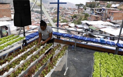 Proyectos que generan empleo para madres cabeza de familia
