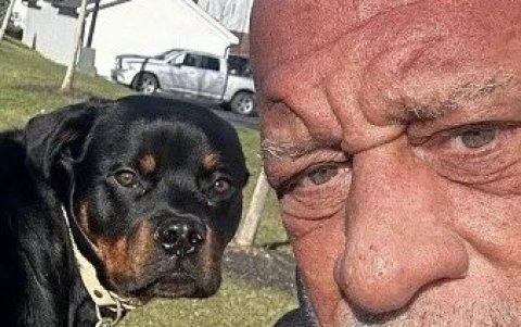 Hammer, un héroe de 4 patas.