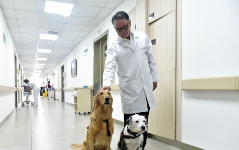 Los perros también alegran al personal médico. El doctor Gustavo Leoro, junto a Bruce y Frida, en un pasillo del hospital.