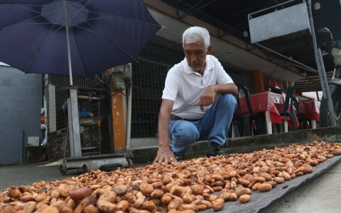 Comprador. César Calle es un comerciante que compra el cacao por quintal, para luego vender por toneladas a los exportadores.