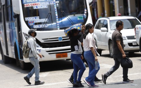 Soporte. Hubo quienes se cubrieron del sol con folletos, carpetas o con los artículos que habían comprado en el momento, como las pequeñas camas de animales de compañía, como en la foto.