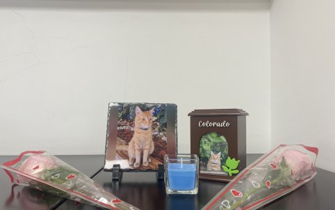 El Colorado fue cremado y sus cenizas se quedarán en la que fue su casa: Granasa.