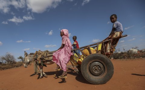 Los niños llevan bidones de agua a casa en un carro tirado por burros, tras llenarlos en uno de los puntos dentro del campamento de desplazados en el estado de Jubaland, Somalia,