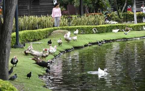 La Fundación Malecón 2000 ha asegurado que monitoreará que todas las medidas se cumplan.