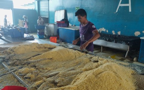 Por la proximidad de la Semana Santa, en los puertos de la Península se han incrementado las ventas de pescado salado.