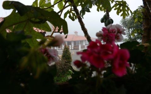 Yunguilla tiene una flora biodiversa única para la zona.