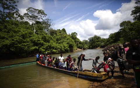 Cientos de migrantes se han aventurado por esta selva en lo que va del 2024.