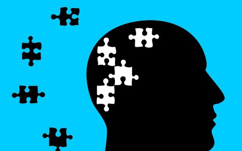 Según Genova, las personas con buena memoria tienen la mejor imaginación.