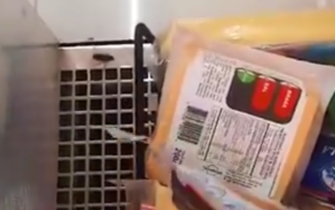 Las cucarachas aparecieron en los sistemas de refrigeración de los alimentos