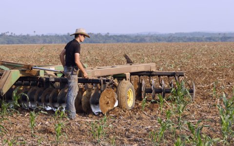 Los más jóvenes, adolescentes son los que suelen encontrarse trabajando en los campos, conduciendo tractores o maquinaria para la siembra,
