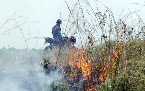 Los incendios y la deforestación registrada en esta zona, los menonitas dicen que ellos no queman, no tumban el bosque.