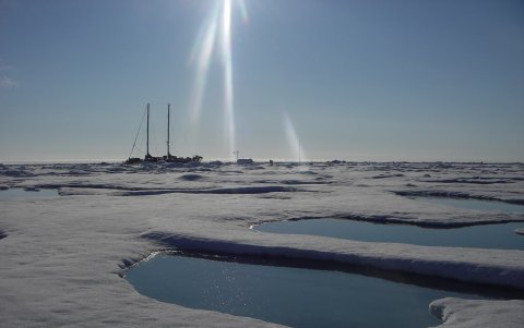 Al fondo aparece el buque que traslada a la expedición, denominada Tara Europa, que empezó su aventura en la ciudad francesa de Roscoff en abril del 2023,