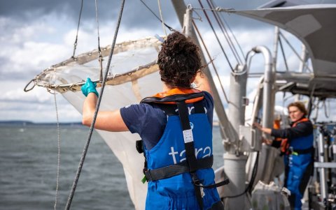 A bordo del Tara viajan un total de 14 personas, entre ellas seis marineros, seis científicos, un periodista y un artista gráfico.